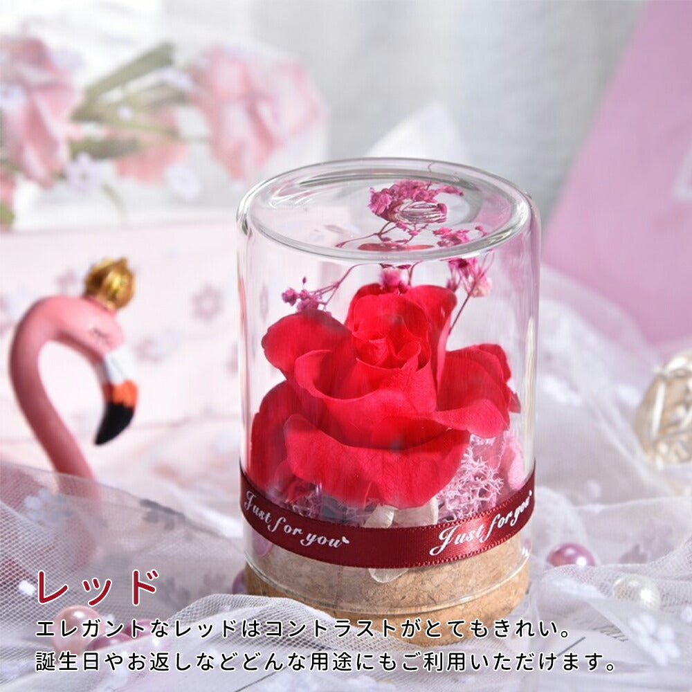 IwaiLoft mini Preserved Flower Gift Bouquet Rose Present Non-withering Flower Bottle Flower Birthday Gift, Celebration, Recital, Gift Glass Dome Mother's Day Girlfriend Wife Present Birthday Wedding Gift Flower Interior Good Luck