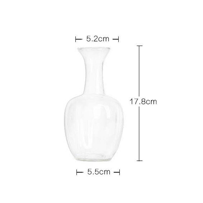 IwaiLoft 耐熱ガラスポット ガラス ポット コーヒーポット 片口 ガラス酒器 紅茶ポット お茶ポット 手作り 花瓶 ガラス ガラス花瓶 花器 一輪挿し フラワーベース ミニ 小 インテリア おしゃれ 水栽培 ボトル 工芸品 Flower 一輪挿し