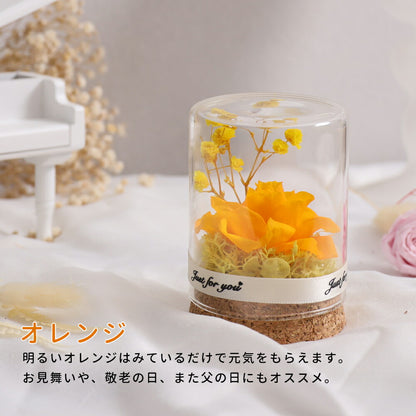 ＜人気NO.1＞IwaiLoft Mini プリザーブドフラワー ギフト ガラスドーム 花束 バラ 贈り物 枯れないお花 ボトルフラワー お祝い・発表会・贈り物に 母の日 彼女 妻 誕生日 プレゼント 結婚祝い 敬老の日 フラワー ギフト インテリア 本物の花 お供え お悔やみ 供花 お花 仏壇