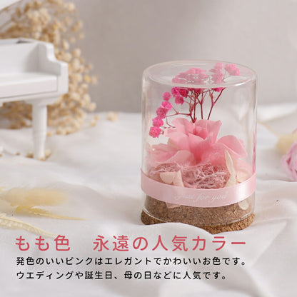 ＜人気NO.1＞IwaiLoft Mini プリザーブドフラワー ギフト ガラスドーム 花束 バラ 贈り物 枯れないお花 ボトルフラワー お祝い・発表会・贈り物に 母の日 彼女 妻 誕生日 プレゼント 結婚祝い 敬老の日 フラワー ギフト インテリア 本物の花 お供え お悔やみ 供花 お花 仏壇