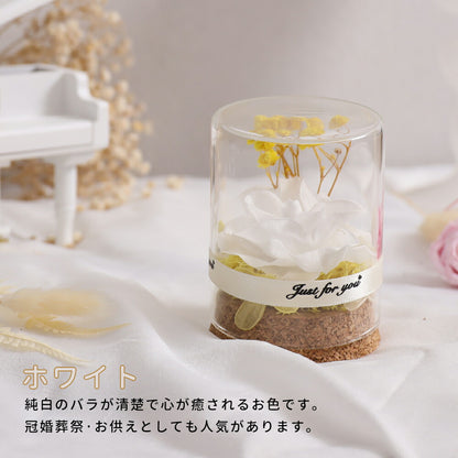 IwaiLoft mini Preserved Flower Gift Bouquet Rose Present Non-withering Flower Bottle Flower Birthday Gift, Celebration, Recital, Gift Glass Dome Mother's Day Girlfriend Wife Present Birthday Wedding Gift Flower Interior Good Luck