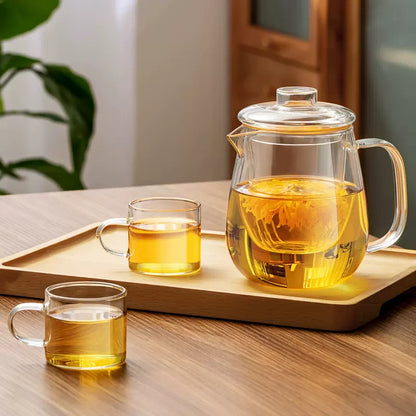 IwaiLoft なつめ・直火可  耐熱ガラス ティーポット ガラス ガラスポット ガラス急須 小サイズ 450ml 茶こし付き 紅茶ポット コーヒーサーバー コーヒーポット ガラスピッチャー 片口 酒器 フルーツティー ハーブティー ポット アフタヌーンティー 母の日 プレゼント