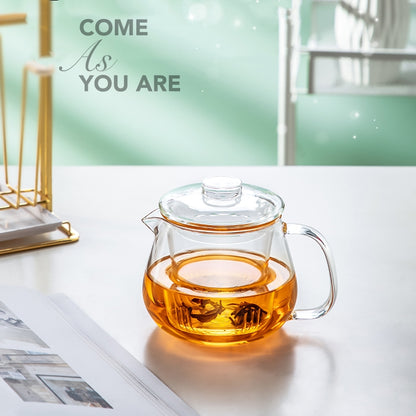 IwaiLoft なつめ・直火可  耐熱ガラス ティーポット ガラス ガラスポット ガラス急須 小サイズ 450ml 茶こし付き 紅茶ポット コーヒーサーバー コーヒーポット ガラスピッチャー 片口 酒器 フルーツティー ハーブティー ポット アフタヌーンティー 母の日 プレゼント