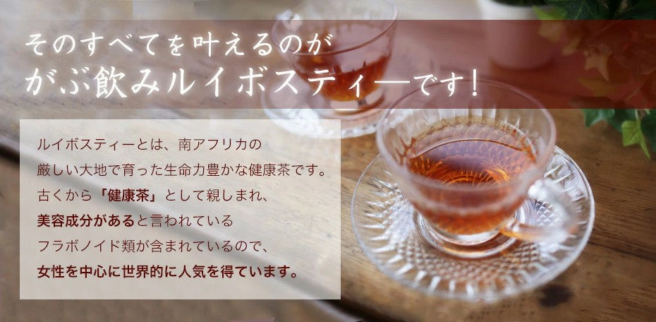 お試し オーガニック ルイボスティー ふくちゃのがぶ飲みルイボスティー ティーパック20包 ノンカフェイン美容対策 送料無料 健康茶、ノンカフェインで紅茶のような風味です｜ボタニカルなお茶 ふくちゃ