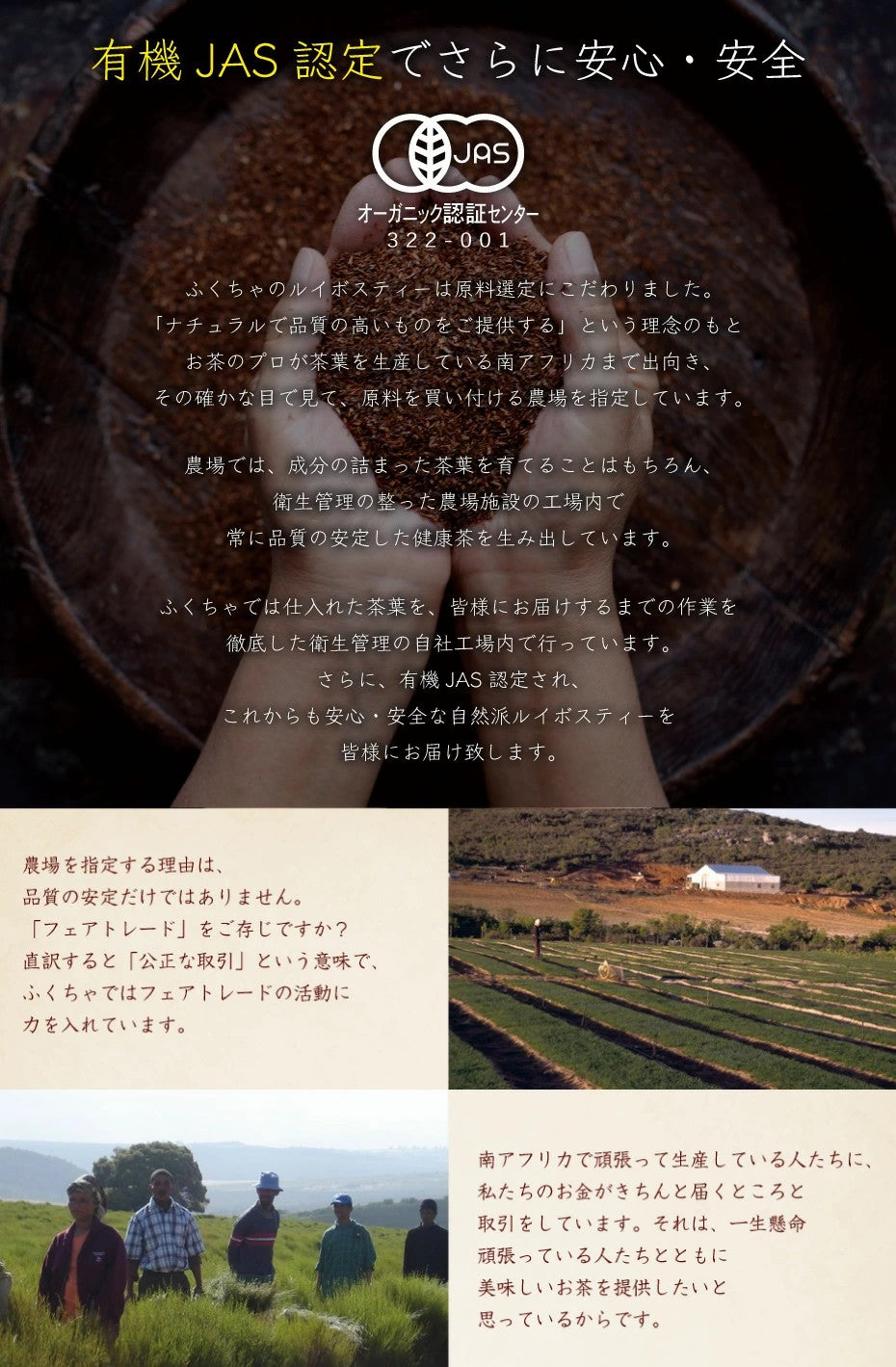 ルイボスティー オーガニック 有機 JAS ふくちゃのがぶ飲みルイボスティー ティーバッグ60包 ノンカフェイン美容対策 健康茶、ノンカフェインで紅茶のような風味 お茶 ふくちゃ