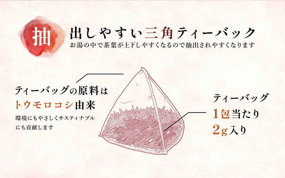 カバノアナタケ茶 樺孔茸茶 チャーガ茶 チャガ茶 かばのあなたけ茶 健康茶 樺孔茸 キノコ茶 きのこ茶 チャーガティー カバタケ茶 ティーバッグ ノンカフェイン がぶ飲みカバノアナタケ茶2g 残留農薬検査済み 中国産 ふくちゃ