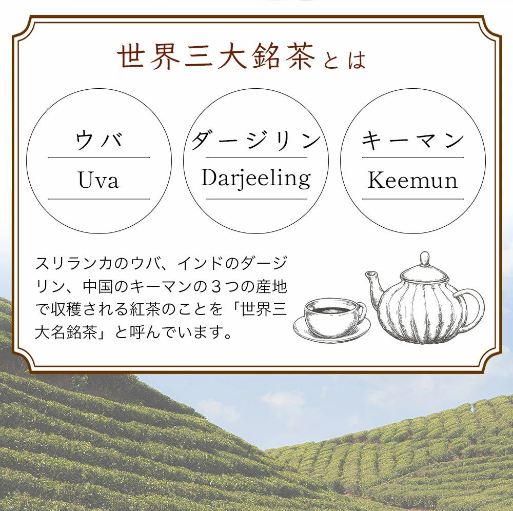 オーガニック ダージリン 紅茶 2g×30包|50包|100包| 水出し 紅茶 ギフト かわいい ダージリンティー 有機ダージリン 有機紅茶 厳選 オーガニック紅茶 オーソドックス製法 ティーバッグ ストレートティー アイスティー リラックス 送料無料 ふくちゃ