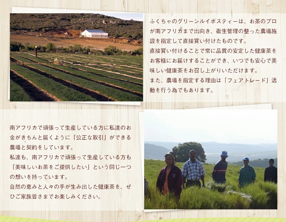 オーガニック グリーンルイボスティー 100包×1袋│3袋│6袋│11袋│ ティーバッグ 有機JAS ノンカフェイン 健康茶 美容茶 グリーン ルイボス 茶 ruibosu ハーブティー 送料無料 ミネラル 子育て 育児 お茶 がぶ飲み ふくちゃ