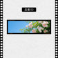 フィルム風 しおり オリジナル 風景 ブックマーク 透明 クリア 癒される エモい写真風 桜 水緑 読書 グッズ おしゃれ 文房具 プチギフト プレゼント 雑貨 本好き 読書女子 手帳 おうち時間 癒し 落ちない 折れない 記念品 退職 誕生日 薄型 IwaiLoft