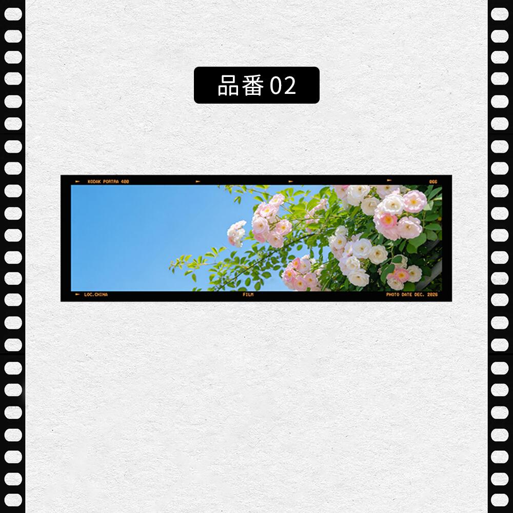 フィルム風 しおり オリジナル 風景 ブックマーク 透明 クリア 癒される エモい写真風 桜 水緑 読書 グッズ おしゃれ 文房具 プチギフト プレゼント 雑貨 本好き 読書女子 手帳 おうち時間 癒し 落ちない 折れない 記念品 退職 誕生日 薄型 IwaiLoft