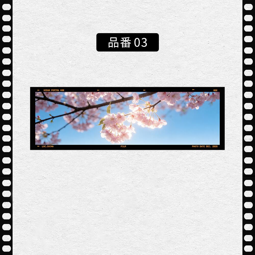 フィルム風 しおり オリジナル 風景 ブックマーク 透明 クリア 癒される エモい写真風 桜 水緑 読書 グッズ おしゃれ 文房具 プチギフト プレゼント 雑貨 本好き 読書女子 手帳 おうち時間 癒し 落ちない 折れない 記念品 退職 誕生日 薄型 IwaiLoft