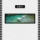 フィルム風 しおり オリジナル 風景 ブックマーク 透明 クリア 癒される エモい写真風 桜 水緑 読書 グッズ おしゃれ 文房具 プチギフト プレゼント 雑貨 本好き 読書女子 手帳 おうち時間 癒し 落ちない 折れない 記念品 退職 誕生日 薄型 IwaiLoft