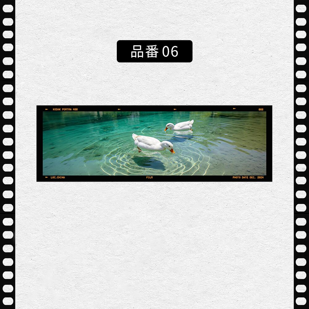 フィルム風 しおり オリジナル 風景 ブックマーク 透明 クリア 癒される エモい写真風 桜 水緑 読書 グッズ おしゃれ 文房具 プチギフト プレゼント 雑貨 本好き 読書女子 手帳 おうち時間 癒し 落ちない 折れない 記念品 退職 誕生日 薄型 IwaiLoft