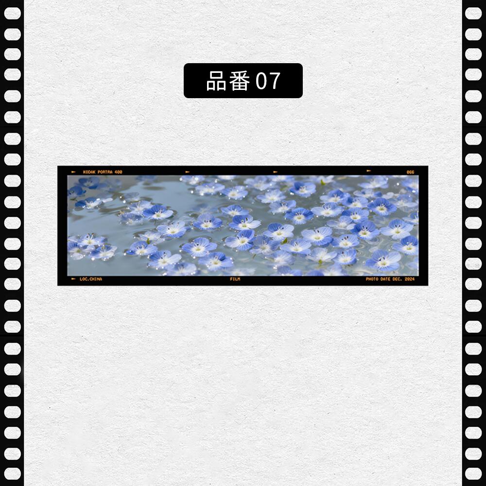フィルム風 しおり オリジナル 風景 ブックマーク 透明 クリア 癒される エモい写真風 桜 水緑 読書 グッズ おしゃれ 文房具 プチギフト プレゼント 雑貨 本好き 読書女子 手帳 おうち時間 癒し 落ちない 折れない 記念品 退職 誕生日 薄型 IwaiLoft