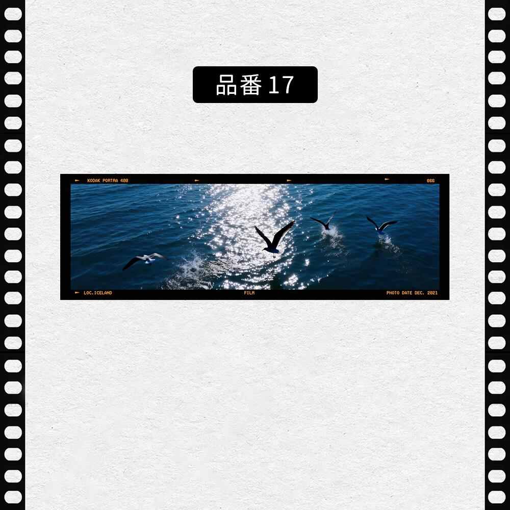 フィルム風 しおり オリジナル 風景 ブックマーク 透明 クリア 癒される エモい写真風 桜 水緑 読書 グッズ おしゃれ 文房具 プチギフト プレゼント 雑貨 本好き 読書女子 手帳 おうち時間 癒し 落ちない 折れない 記念品 退職 誕生日 薄型 IwaiLoft