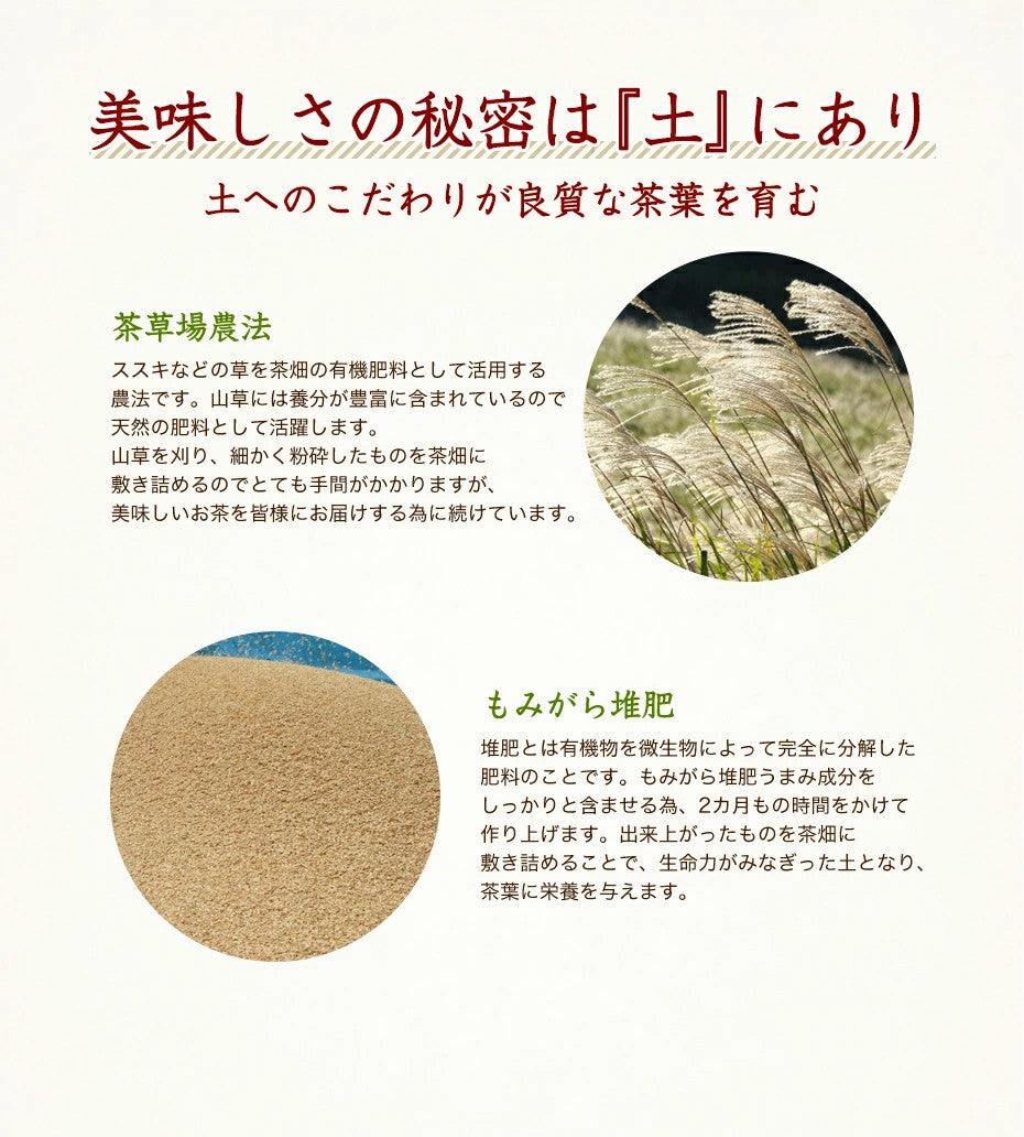 ふくちゃのがぶ飲み国産プーアル茶ティーバッグ5g×10包│5g×30包│本気のダイエットで理想のスタイルを目指す方には国産プーアル茶！送料無料でお届けします ふくちゃ