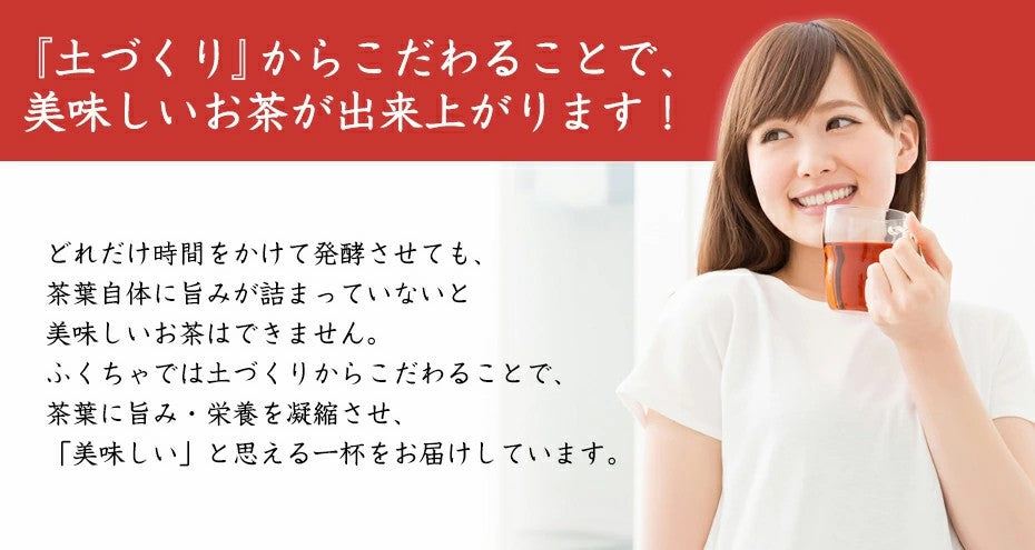 ふくちゃのがぶ飲み国産プーアル茶ティーバッグ5g×10包│5g×30包│本気のダイエットで理想のスタイルを目指す方には国産プーアル茶！送料無料でお届けします ふくちゃ