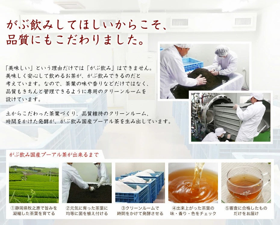 ふくちゃのがぶ飲み国産プーアル茶ティーバッグ5g×10包│5g×30包│本気のダイエットで理想のスタイルを目指す方には国産プーアル茶！送料無料でお届けします ふくちゃ