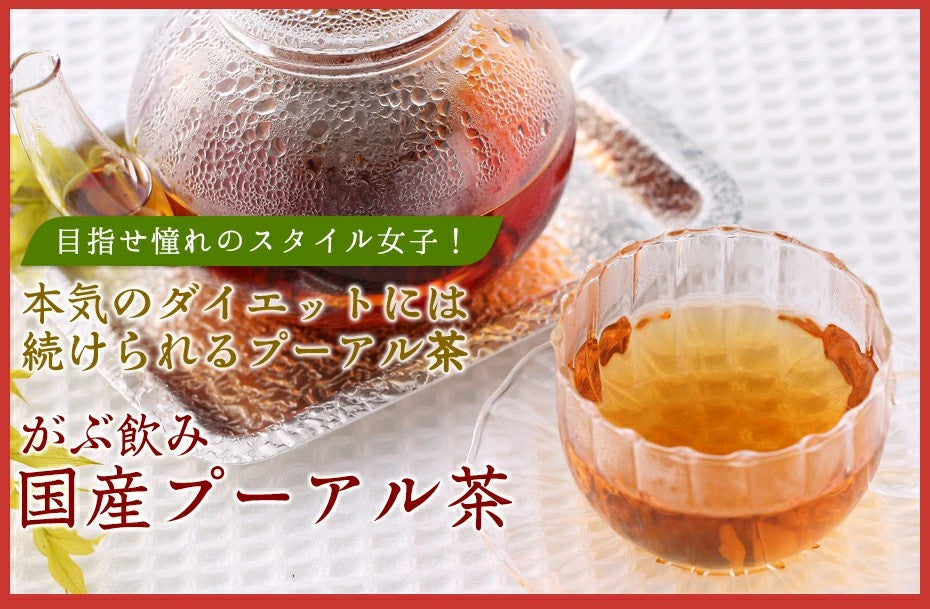 ふくちゃのがぶ飲み国産プーアル茶ティーバッグ5g×10包│5g×30包│本気のダイエットで理想のスタイルを目指す方には国産プーアル茶！送料無料でお届けします ふくちゃ