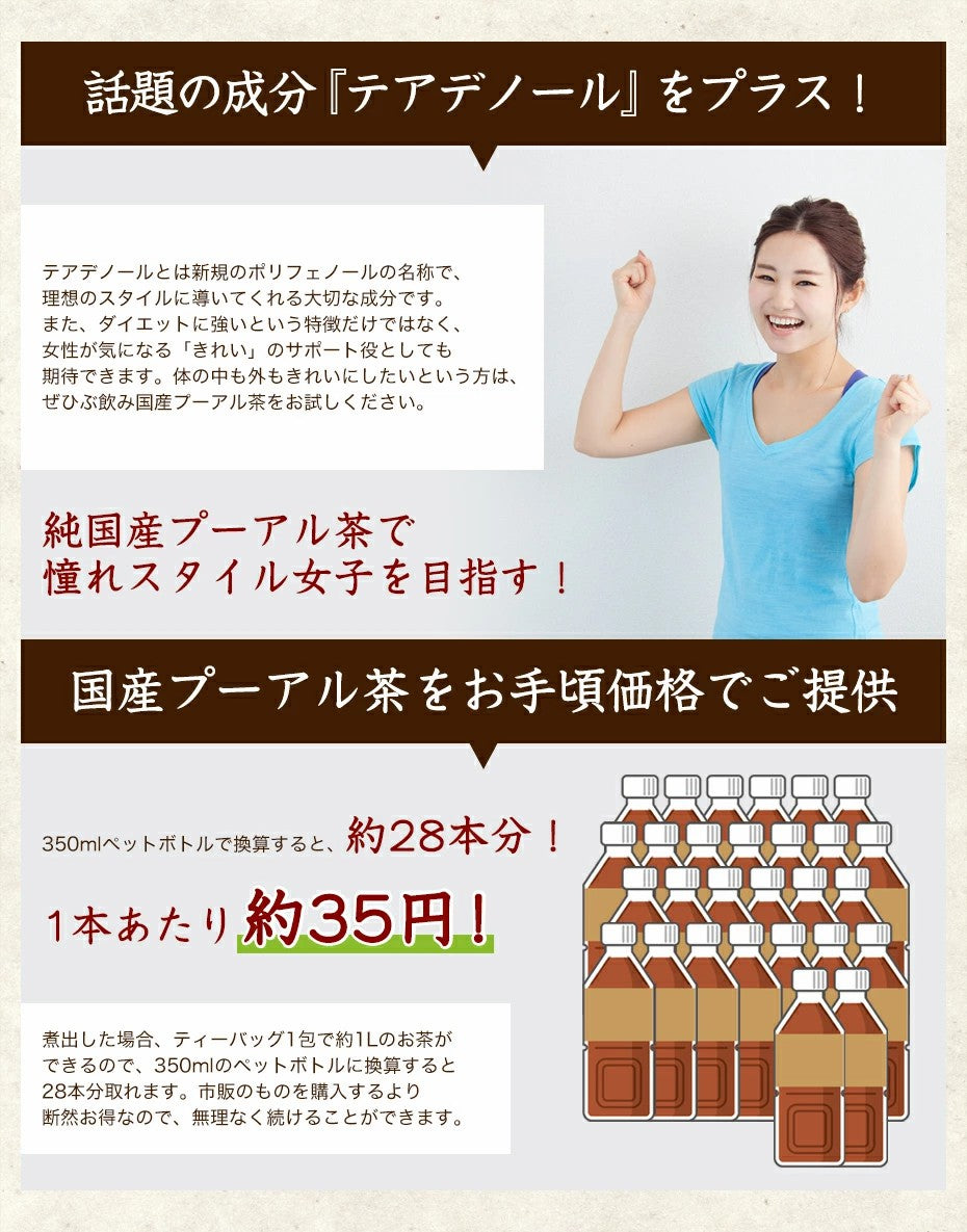 ふくちゃのがぶ飲み国産プーアル茶ティーバッグ5g×10包│5g×30包│本気のダイエットで理想のスタイルを目指す方には国産プーアル茶！送料無料でお届けします ふくちゃ