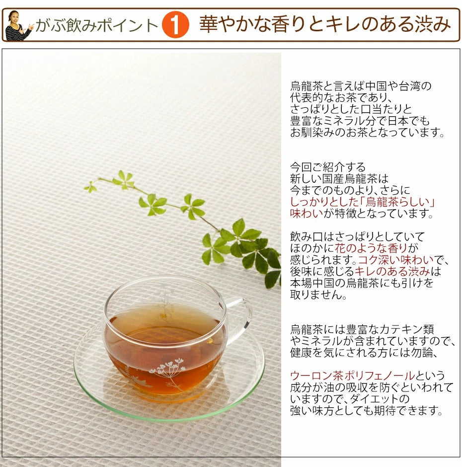 国産烏龍茶福袋（国産ウーロン茶） ふくちゃのがぶ飲み国産烏龍茶 ティーパック20包| 45包| 送料無料 ふくちゃ