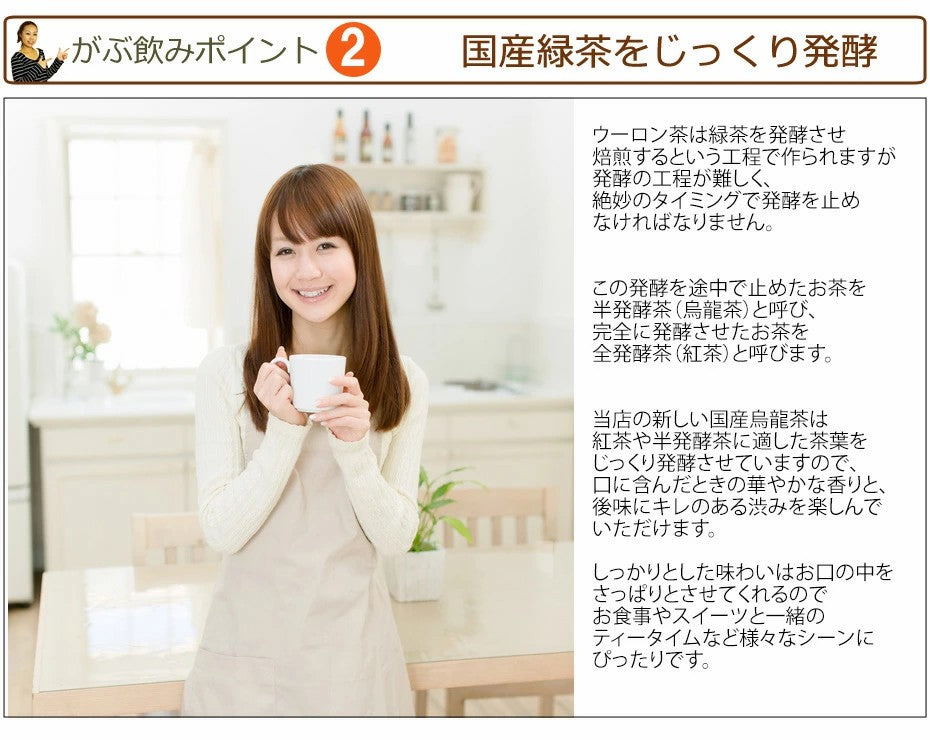 国産烏龍茶福袋（国産ウーロン茶） ふくちゃのがぶ飲み国産烏龍茶 ティーパック20包| 45包| 送料無料 ふくちゃ