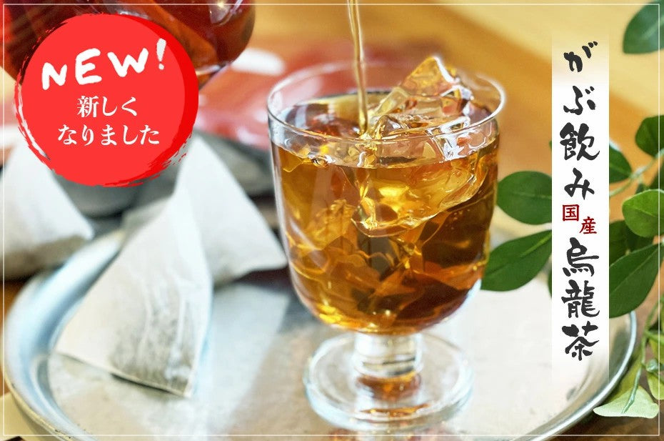 国産烏龍茶福袋（国産ウーロン茶） ふくちゃのがぶ飲み国産烏龍茶 ティーパック20包| 45包| 送料無料 ふくちゃ