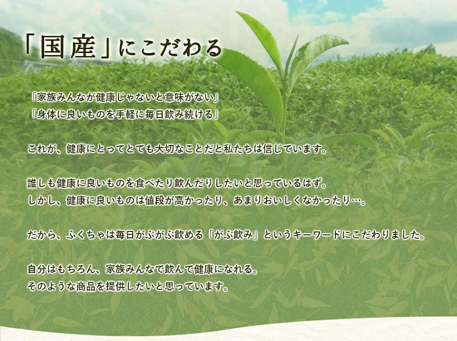 宇治抹茶入り黒豆玄米茶100包 注文から6～14日以内に発送 がぶ飲み国産黒豆玄米茶 ティーバッグ3g×100包 お茶 宇治抹茶 健康茶 黒豆茶 玄米茶 緑茶 国産  がぶ飲み国産黒豆玄米茶100包 送料無料 ふくちゃ