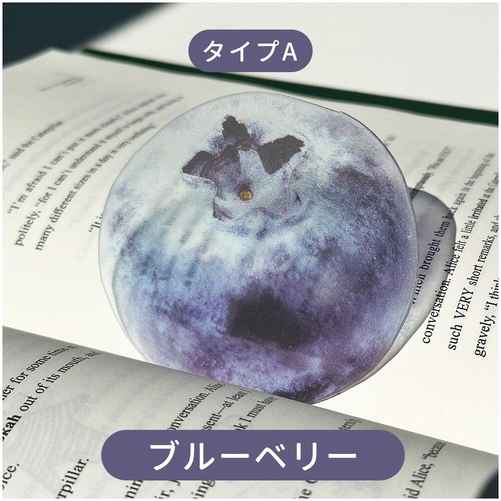 全43種類 おもしろい フルーツしおり 果物 しおり 栞 フルーツ リアル ブックマーク ブックマーカー アクリル 透明 かわいい 学生 入学祝い 文房具 SNS映え 本 ブック 手帳 ノート 読書 癒し 楽しい 本のしおり インテリア雑貨ギフト IwaiLoft