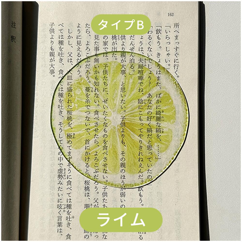 全43種類 おもしろい フルーツしおり 果物 しおり 栞 フルーツ リアル ブックマーク ブックマーカー アクリル 透明 かわいい 学生 入学祝い 文房具 SNS映え 本 ブック 手帳 ノート 読書 癒し 楽しい 本のしおり インテリア雑貨ギフト IwaiLoft