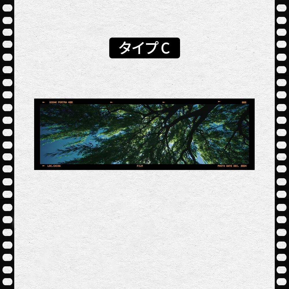 フィルム風 しおり オリジナル 風景 ブックマーク 透明 クリア 癒される エモい写真風 桜 水緑 読書 グッズ おしゃれ 文房具 プチギフト プレゼント 雑貨 本好き 読書女子 手帳 おうち時間 癒し 落ちない 折れない 記念品 退職 誕生日 薄型 IwaiLoft