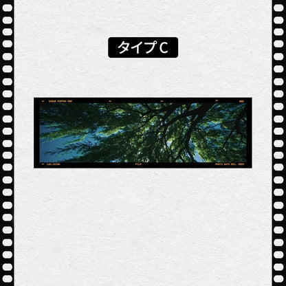 フィルム風 しおり オリジナル 風景 ブックマーク 透明 クリア 癒される エモい写真風 桜 水緑 読書 グッズ おしゃれ 文房具 プチギフト プレゼント 雑貨 本好き 読書女子 手帳 おうち時間 癒し 落ちない 折れない 記念品 退職 誕生日 薄型 IwaiLoft