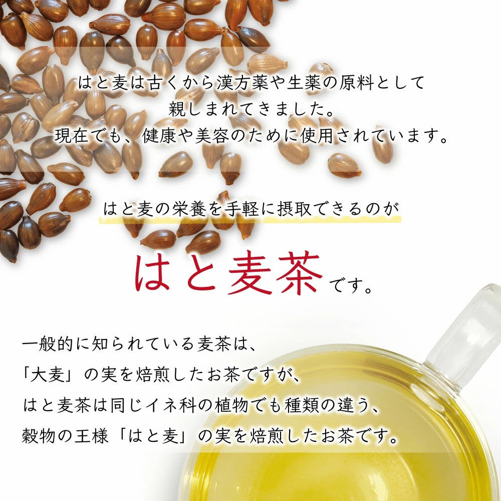 お試し はと麦茶 ハトムギ茶 国産はと麦茶100% ふくちゃのがぶ飲みはとむぎ茶ティーバッグ20包 ハト麦健康茶（美容茶） 煮出し鳩麦茶 ノンカフェイン お茶 送料無料 250項目農薬・放射能検査済み ふくちゃ