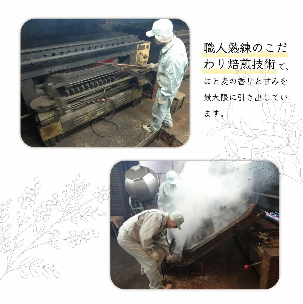 お試し はと麦茶 ハトムギ茶 国産はと麦茶100% ふくちゃのがぶ飲みはとむぎ茶ティーバッグ20包 ハト麦健康茶（美容茶） 煮出し鳩麦茶 ノンカフェイン お茶 送料無料 250項目農薬・放射能検査済み ふくちゃ