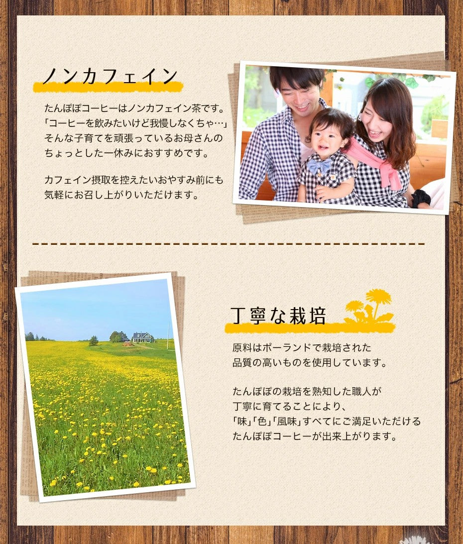 送料無料 たんぽぽコーヒー 2g ノンカフェイン たんぽぽ茶 コーヒー 健康茶 ティー お茶 ティーバッグ 大容量 福袋 ふくちゃ