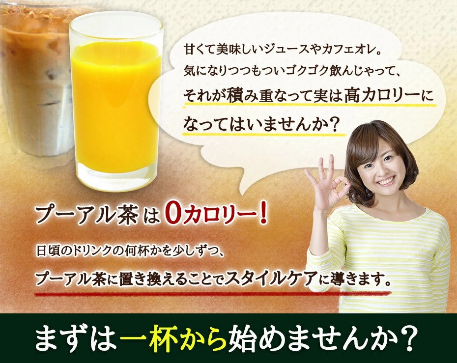 ミニ100包プーアル茶 ダイエット茶の定番 プーアール茶） ふくちゃのがぶ飲みプーアル茶（ティーバッグ　熟茶）カップやマイボトル等にどうぞ1.8g×100包メール便【送料無料】 ふくちゃ