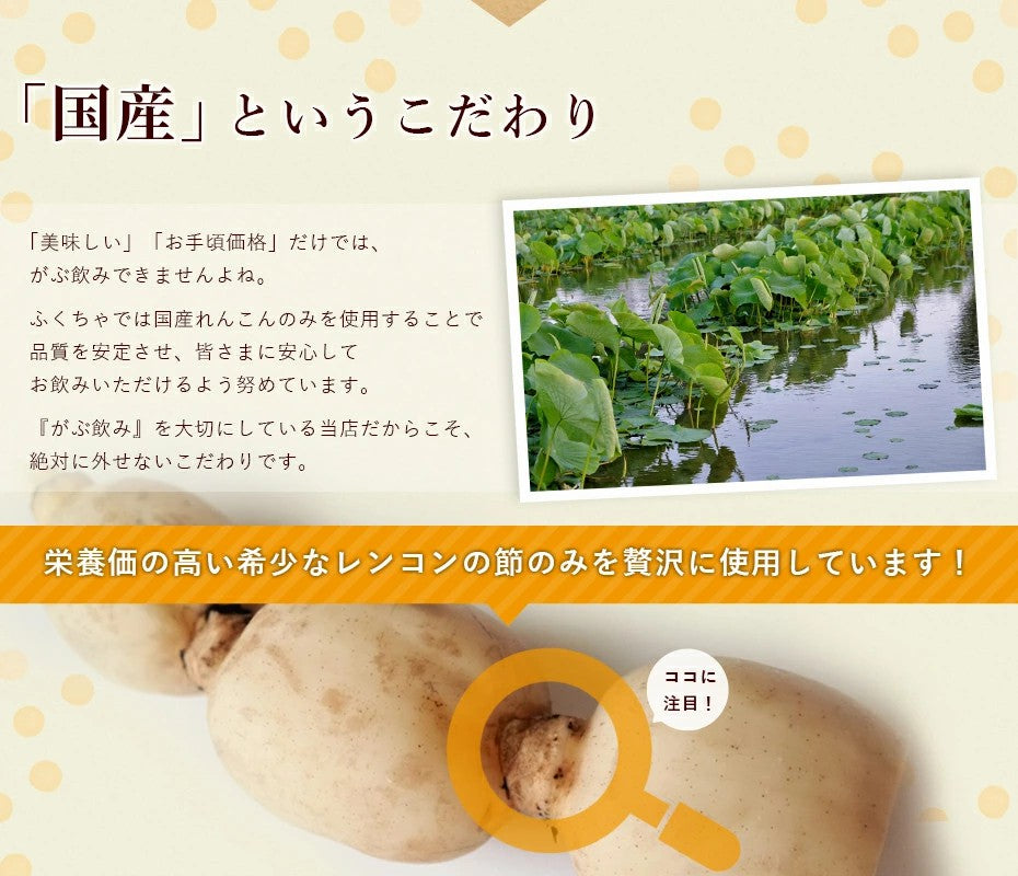がぶ飲み国産れんこん茶3g×30包| 3g×50包| 3g×100包|レンコン 蓮根 国産のお茶 健康茶 ティーバッグ ふくちゃ