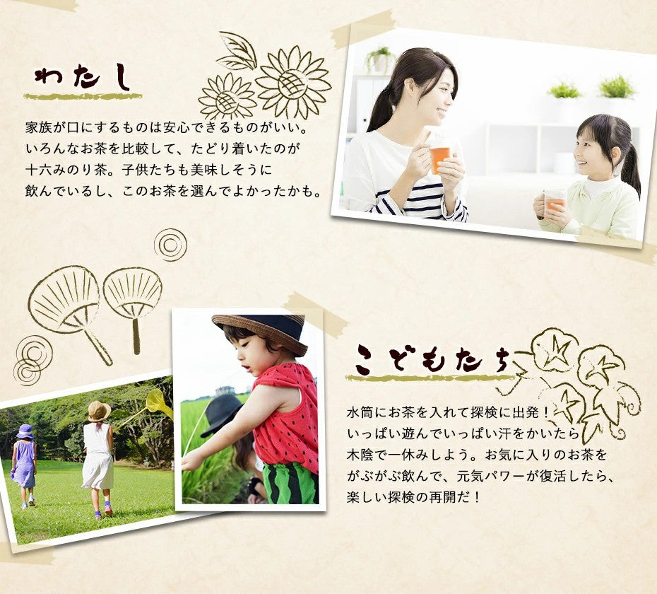 2g×100包 ふくちゃのがぶ飲み十六みのり茶ティーバッグ2g×100包 マイボトルやブレンド茶に 国産16種 大麦、はと麦、米、黒大豆、小豆、どくだみ、たまねぎ皮、熊笹、杜仲葉、桑の葉、びわ葉、ウコン、ごま、目薬の木 ノンカフェイン健康茶 ふくちゃ